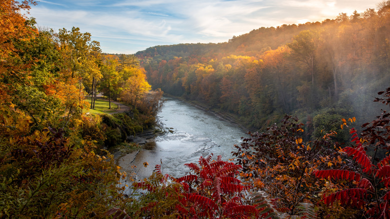 View of Letchworth State Park in autumn