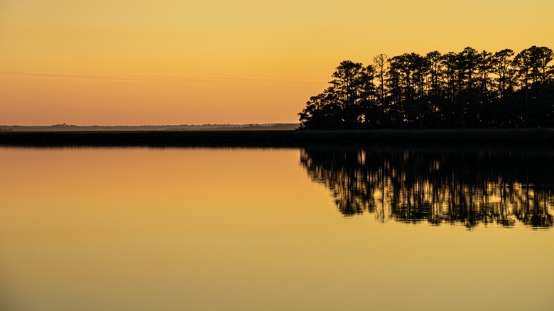 Ace Basin sunset reflecting in the water with an outcropping of trees