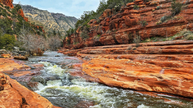 Oak Creek Canyon in Sedona, Arizona