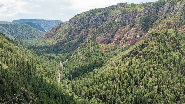 View of Oak Creek Canyon