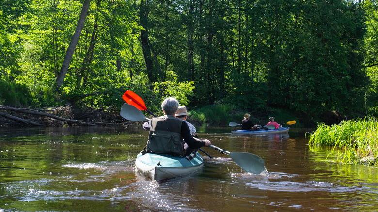 Grand River group kayak in Portland, MI