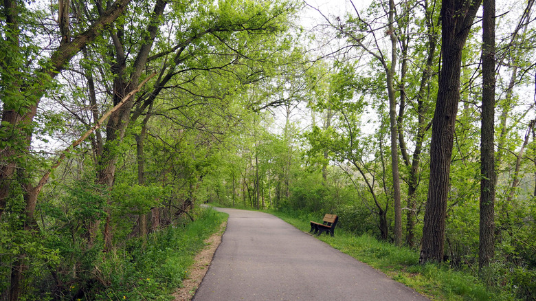 Portland Riverwalk in Portland, Michigan