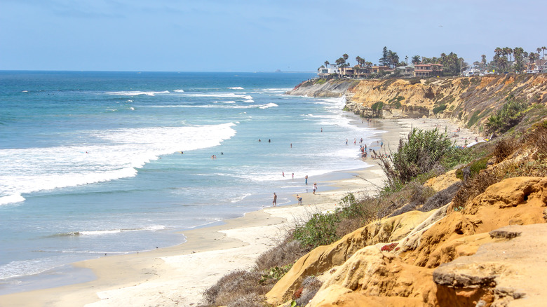 people on a beach near cliffs