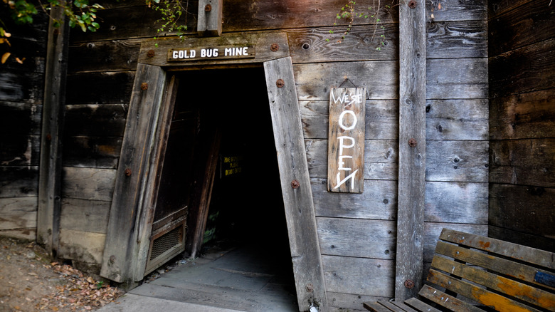 Entrance to Gold Bug Mine at Gold Bug Park