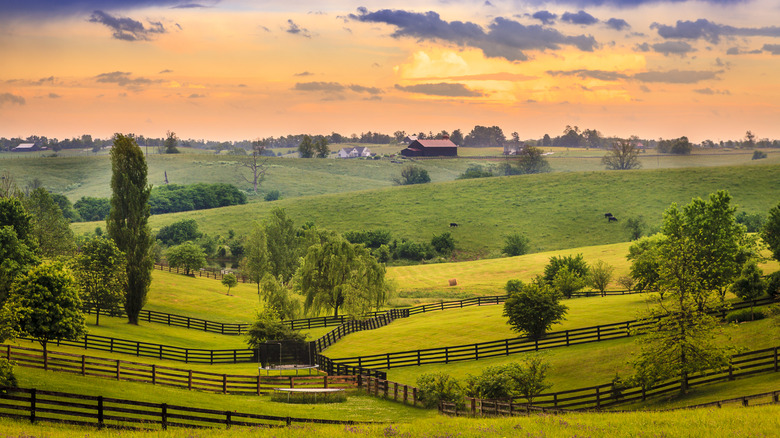 Kentucky's rolling, hilly farmland at sunset