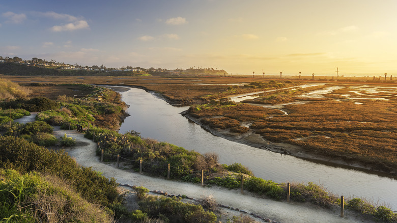 Aerial view of San Elijo Lagoon towards the Pacific Ocean