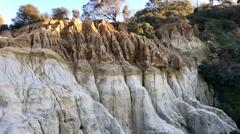 View of the cliffs of Annie's Canyon Trail