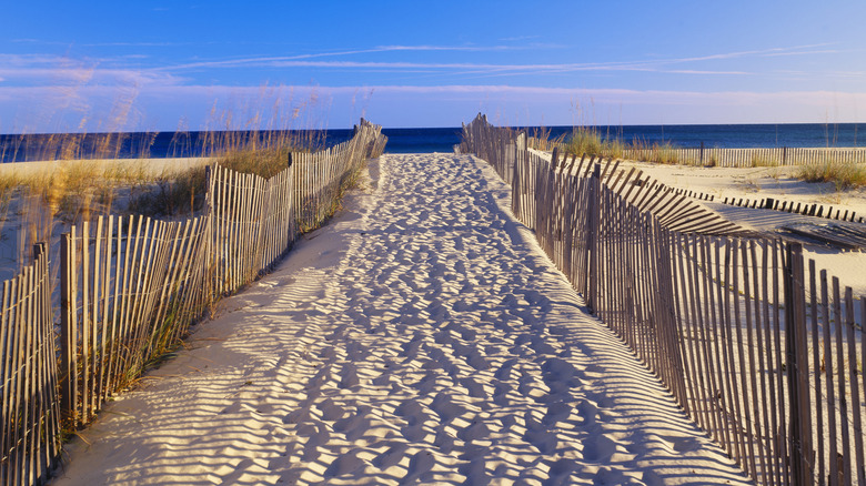 Path leading to the beach in Gulf Islands National Seashore