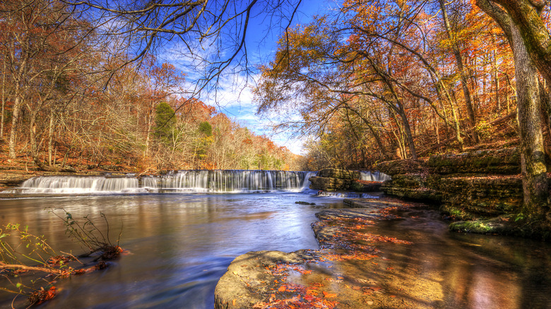 A small waterfall among fall leaves in Manchester, Tennessee