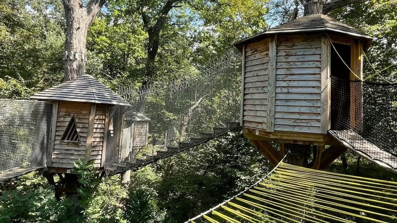 Treehouses at Arbor Day Farm's Treetop Village