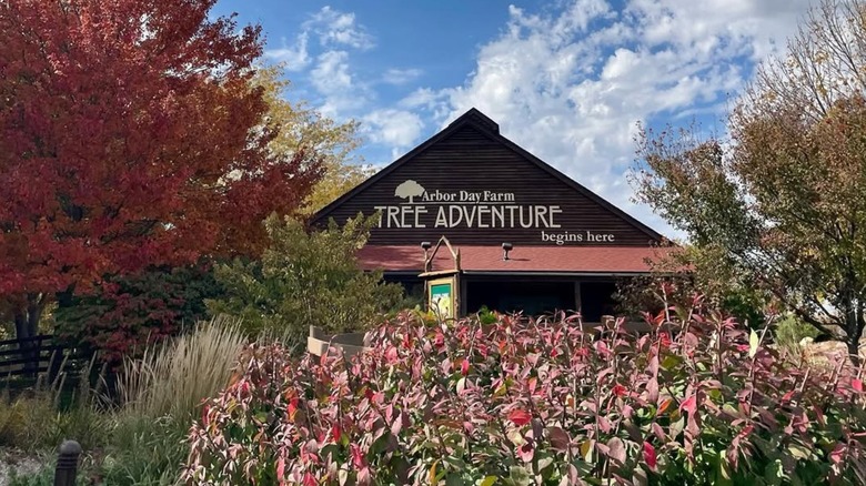 Visitor center at Arbor Day Farm's Tree Adventure