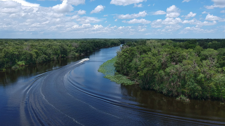 Boat cruising down the St. Johns River