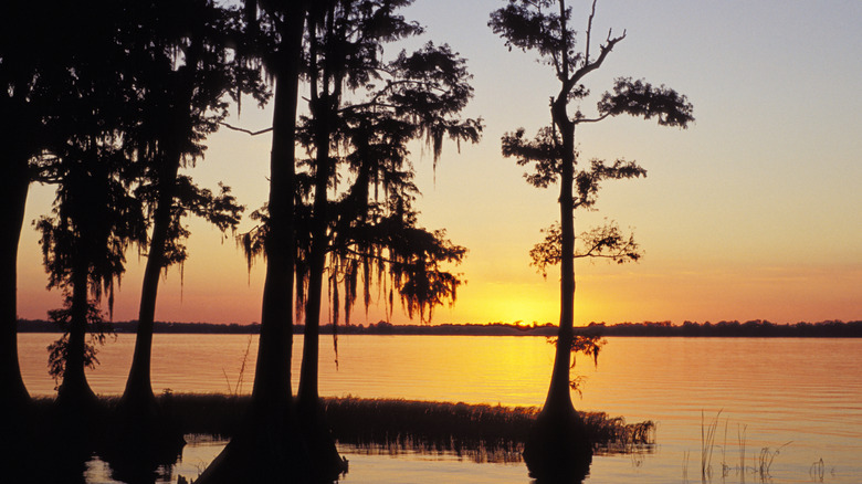 Sunset over the Chain of Lakes from Winter Haven