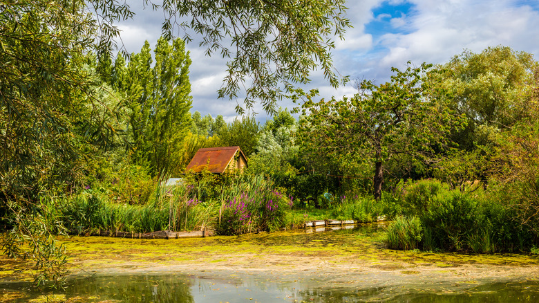 The marshes in Bourges, France