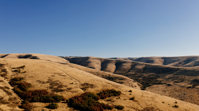 Panorama of natural landscape near Pendleton, Oregon