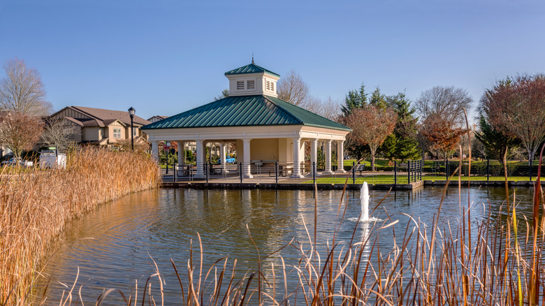 Nature park in Wilsonville, Oregon