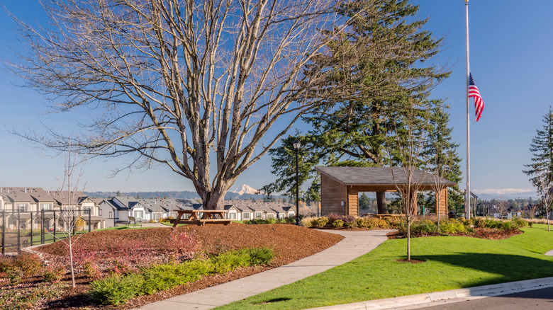 Public park with a view of Wilsonville, Oregon