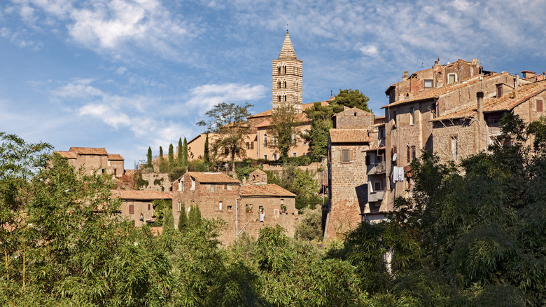 Old town of Viterbo, Italy