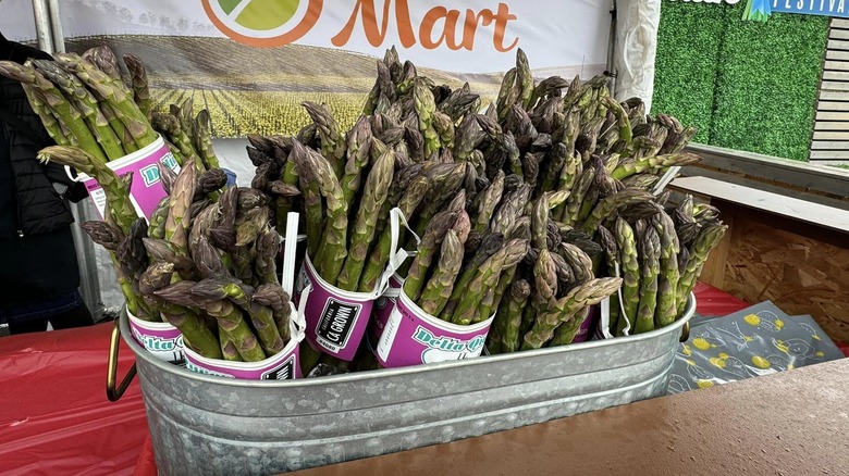 Asparagus bunches in a tub at the San Joaquin Asparagus Festival