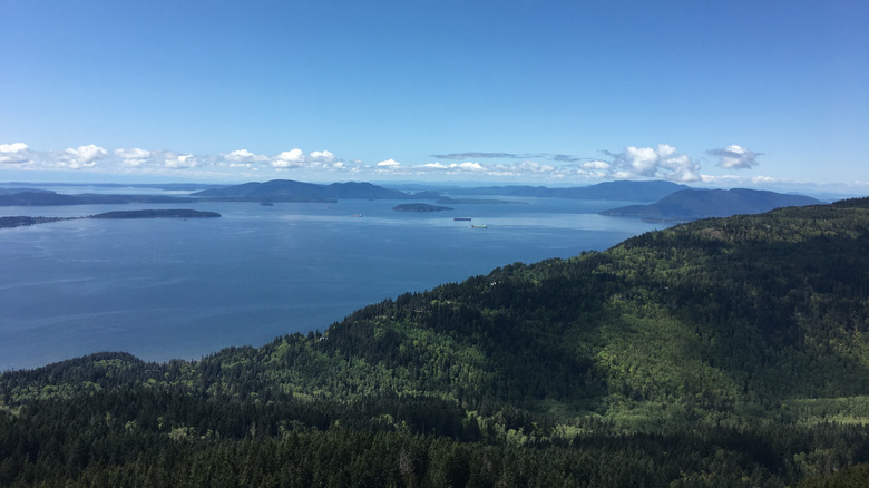 View from Oyster Dome, WA