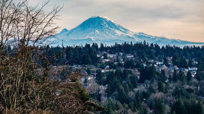 Mount Rainer from Burien homes