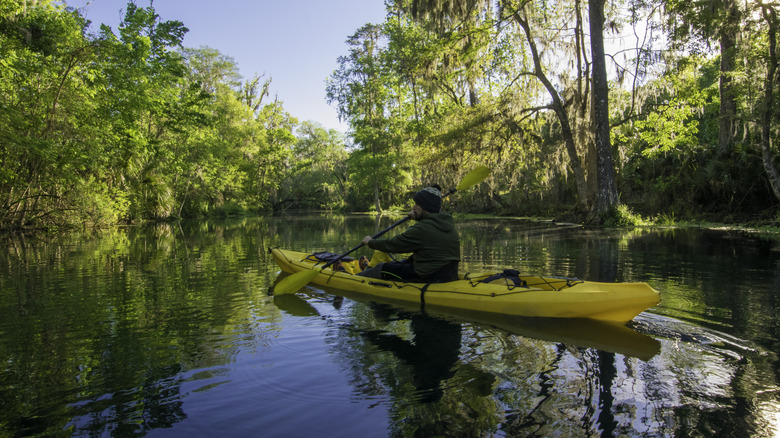 A kayaker on a freshwater spring in Ocala National Forest