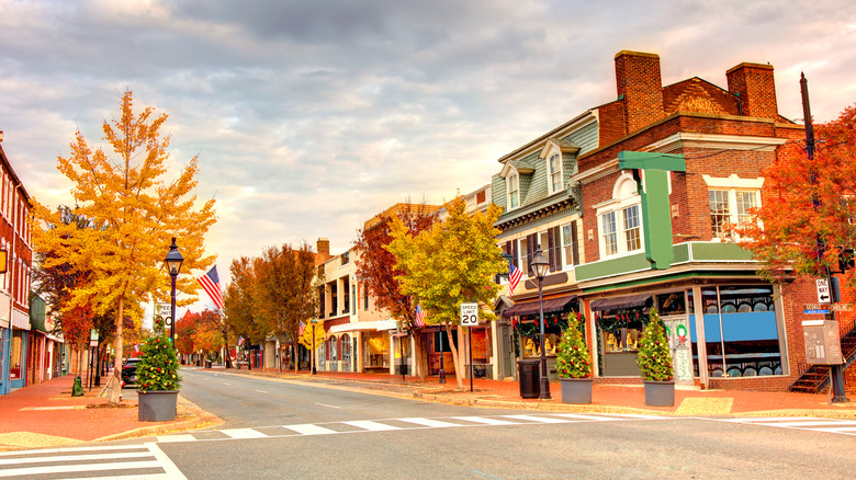 Street view of Fredericksburg, Virginia, in Autumn with the street lined with storefronts, trees, and other buildings