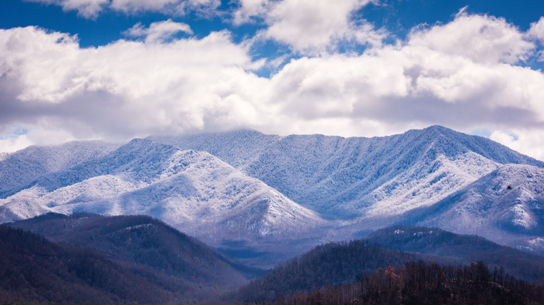 The Great Smoky Mountains along Tennessee and North Carolina's border