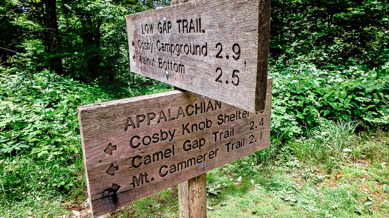 Signs pointing at different trails and sites near Mount Guyot