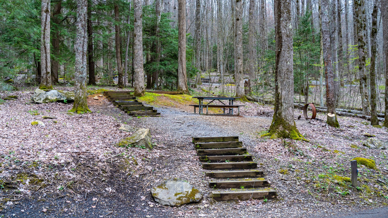 Cosby Campground at the Great Smoky Mountains National Park