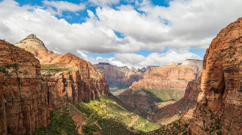 A canyon in Zion National Park