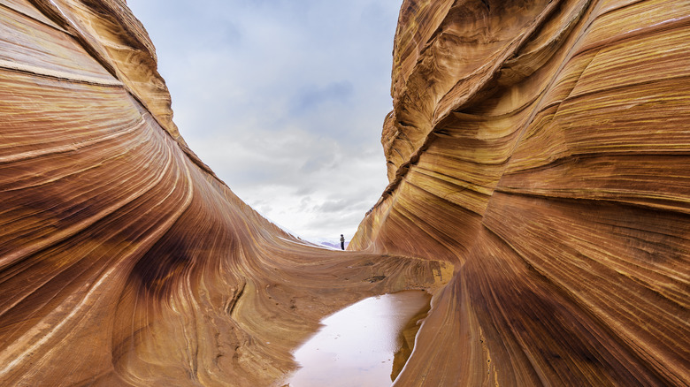 The Wave at Paria Canyon-Vermilion Cliffs Wilderness