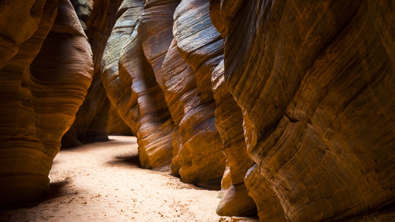 Buckskin Gulch at Paria Canyon-Vermilion Cliffs Wilderness