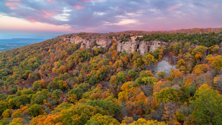 Fall colors on the Cameron Bluff in Mount Magazine State Park, Arkansas