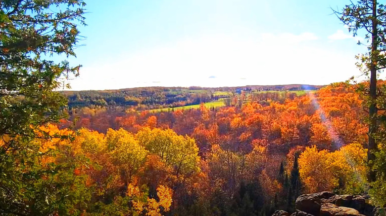 Devils Glen hiking trail