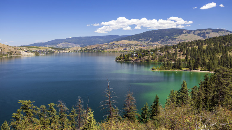 Views of Kalamalka Lake