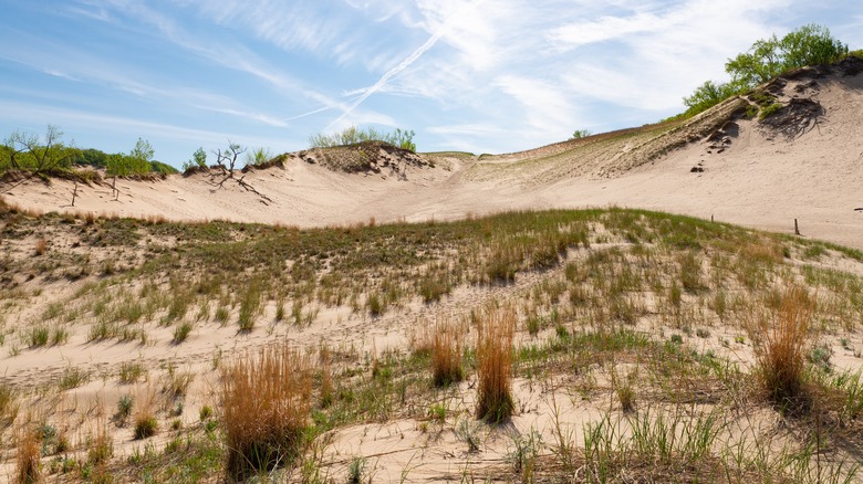 Climb the peaks of Tower Hill