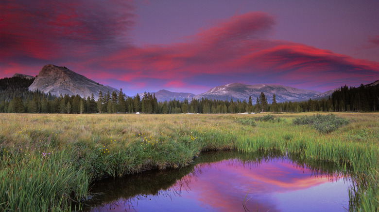 Tuolomne Meadows and Lembert Dome Yosemite