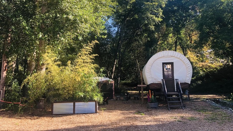 A covered wagon sits by the river flanked with bamboo stalks