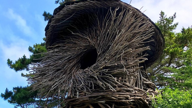 The Twig Hut on a sunny day