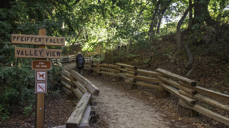 Hiking in Pfeiffer Burns State Park