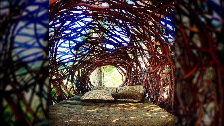 Interior of Treebones Human Nest