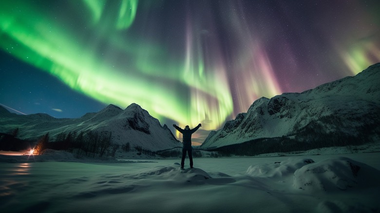 A traveler under Lapland's northern lights