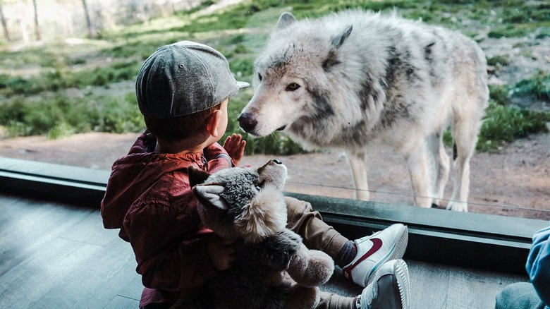 Parc Omega, QC, Canada