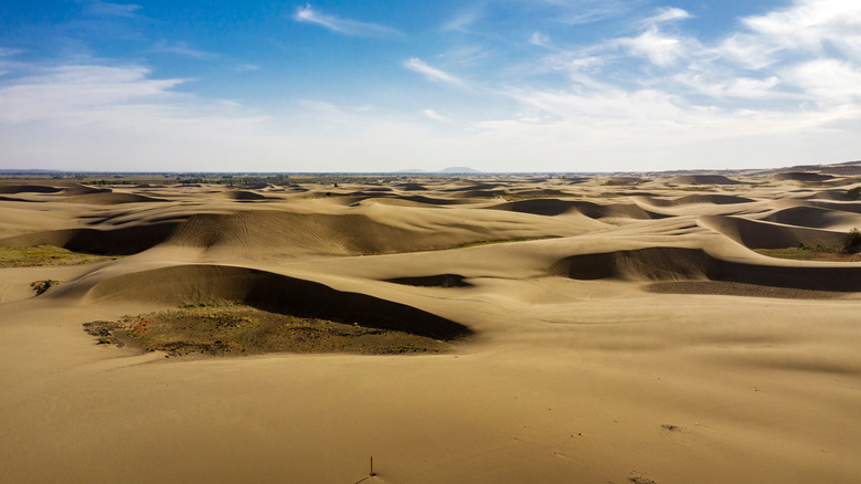 St. Anthony dunes