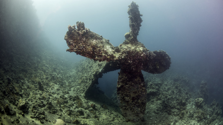 Propeller of old shipwreck