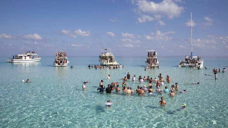 Snorkel groups in Grand Cayman