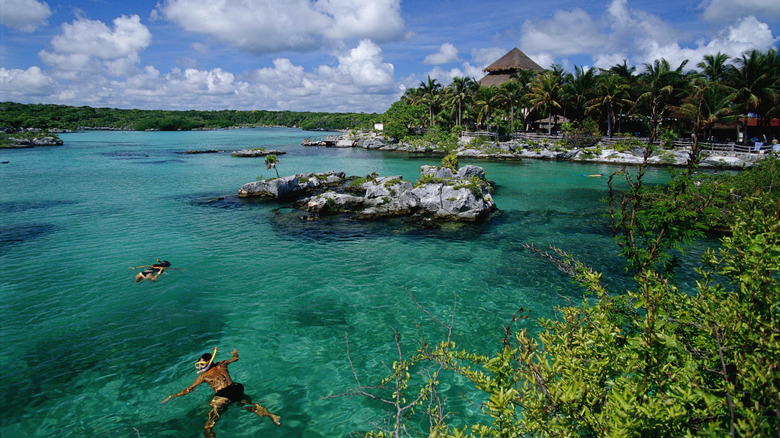 People snorkeling at Xel-Ha Park