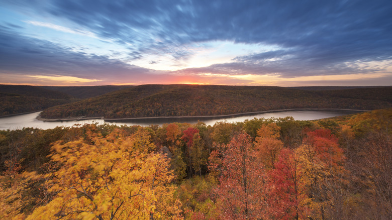 Allegheny National Forest during fall