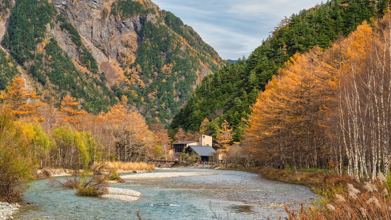 Autumn trees in front of the mountains in Kamikochi, Japan